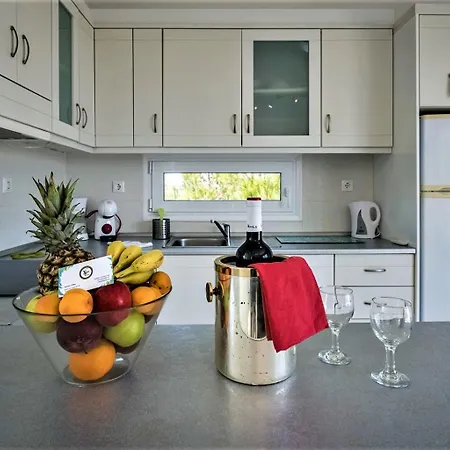 Xenos 1 Villa *
